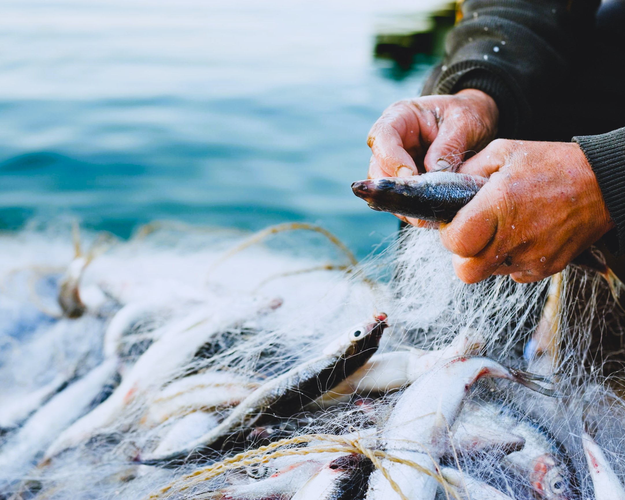Максимизируйте свои шансы на улов: советы от экспертов по использованию конопли в рыболовстве