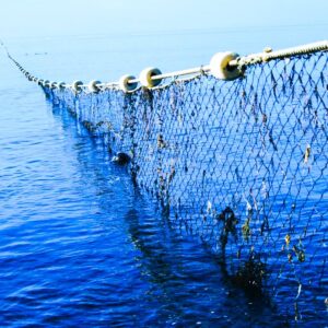 Один из ключевых аспектов использования семян конопли в рыболовстве заключается в комбинировании традиционных методов и новых технологий